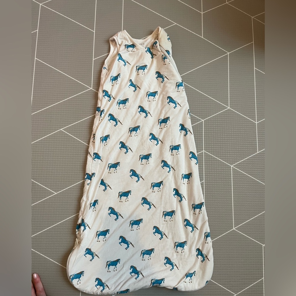 Kyte Baby Sleep Sack 6-18 months